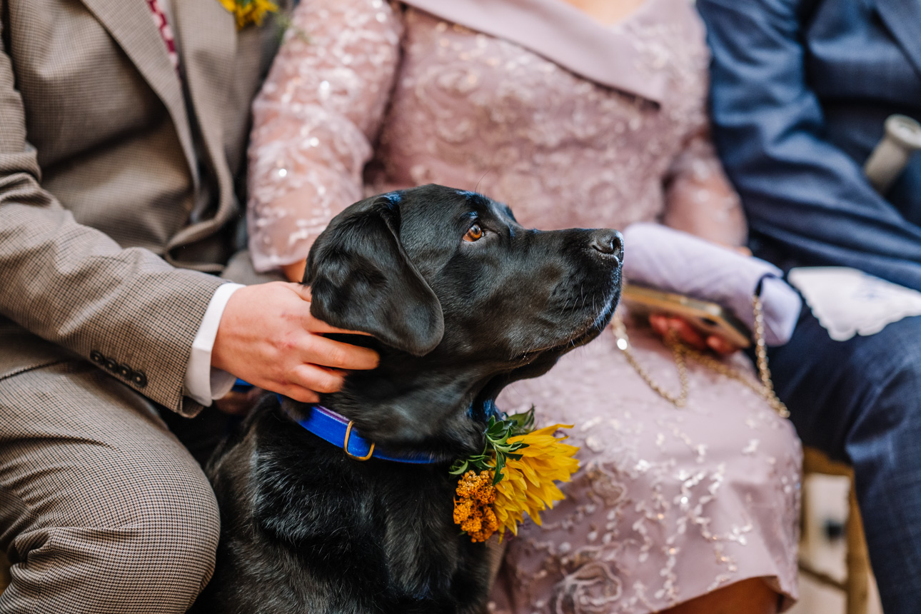 OXLEAZE BARN WEDDING PHOTOGRAPHER 171 TJ2 4706