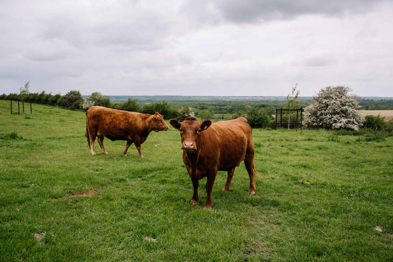 FLORA AND WILLIAM PRIMROSE HILL FARM SPRING WEDDING 9 countryside views at Primrose Hill Farm