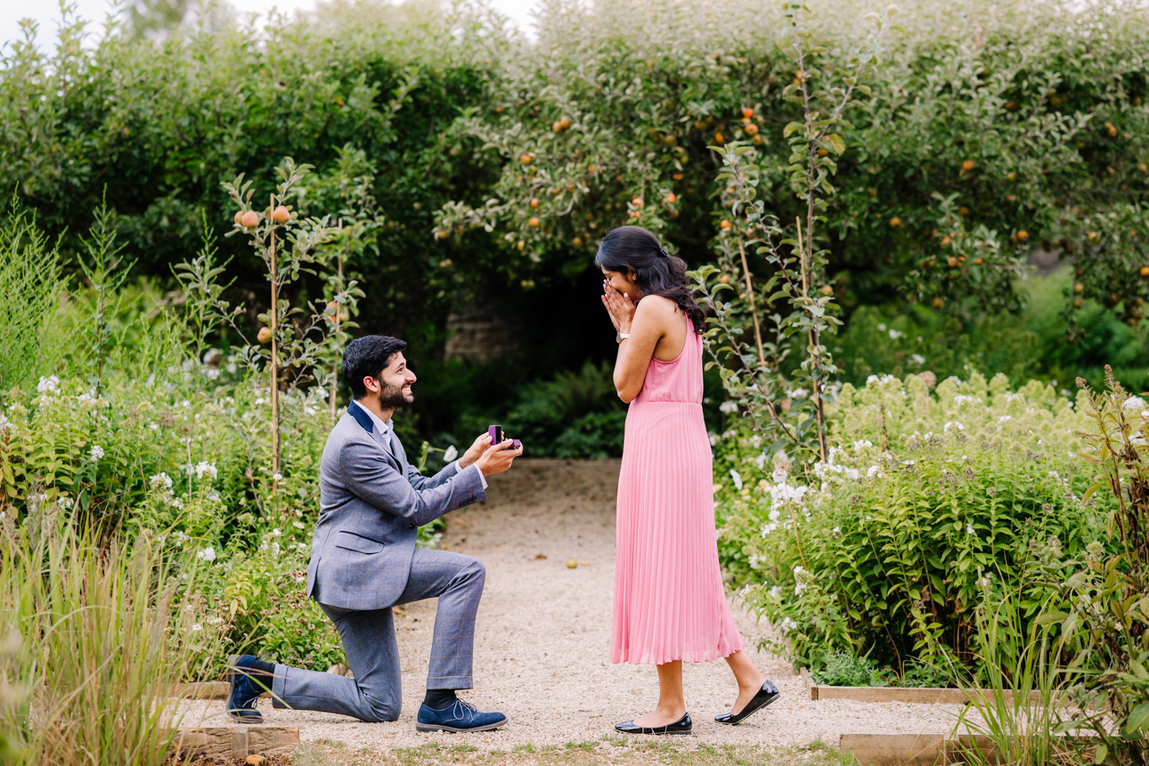 REVIEWS 69 Man down on one knee proposing to his girlfriend